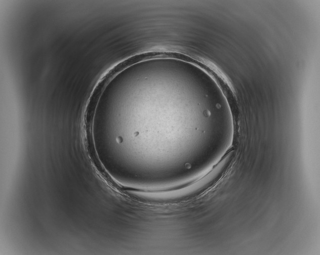 X0000116630972200912111213