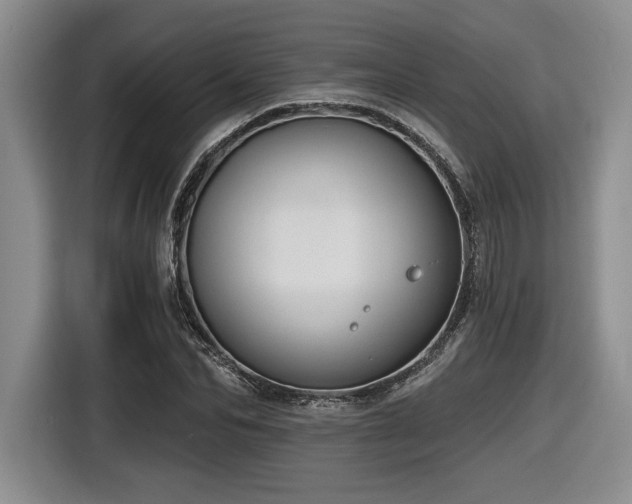 X0000116630974200912111213