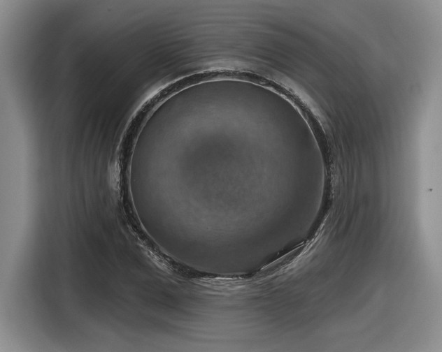 X0000116630975200912111213