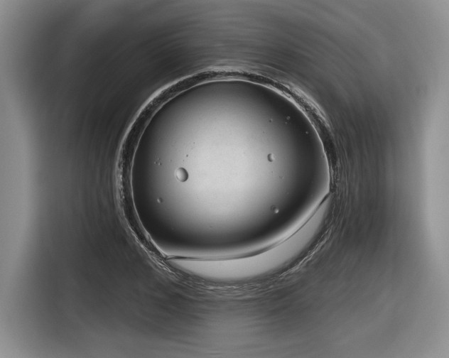 X0000116630976200912111213