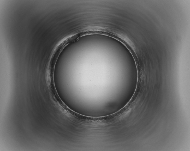 X0000116630979200912111213