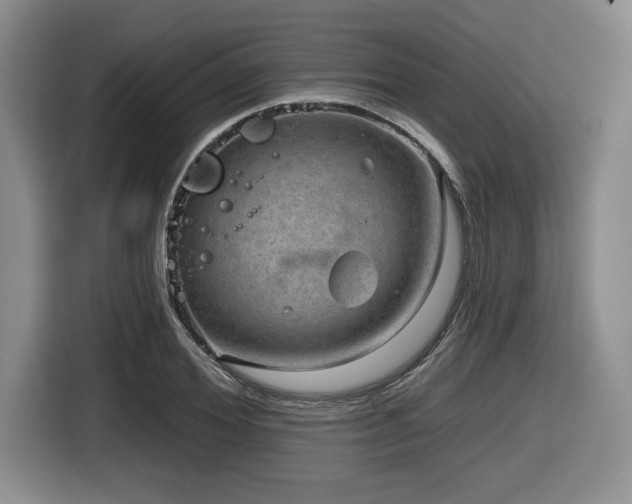 X0000116630980200912111213