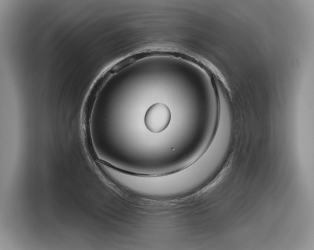 X0000116630981200912111213