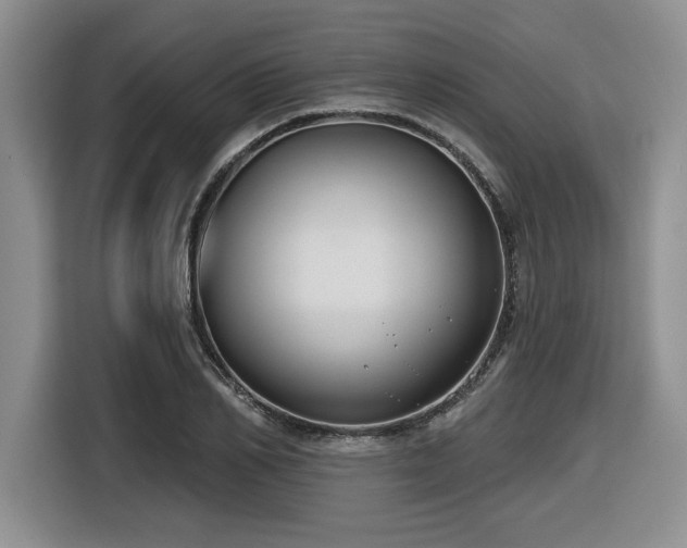 X0000116630982200912111213