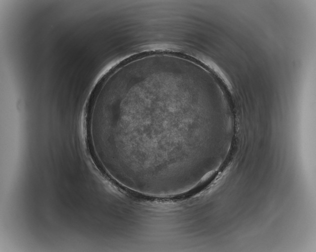 X0000116630983200912111213