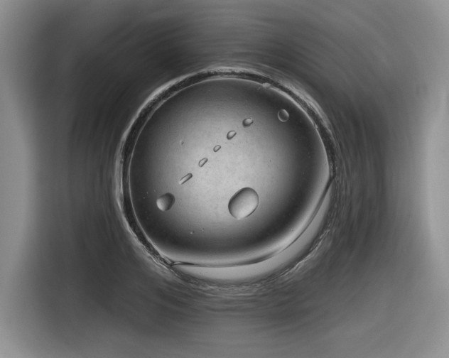 X0000116630984200912111213