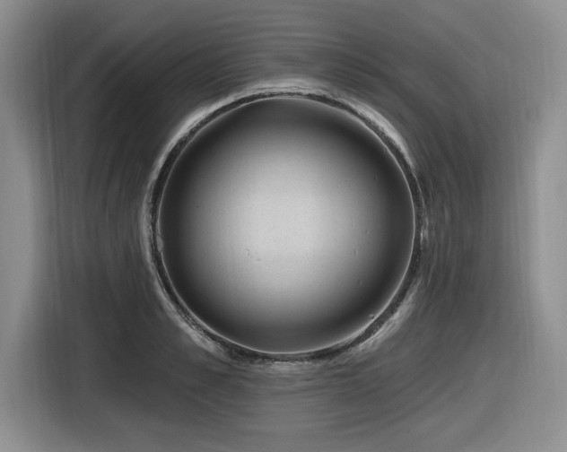 X0000116630989200912111213