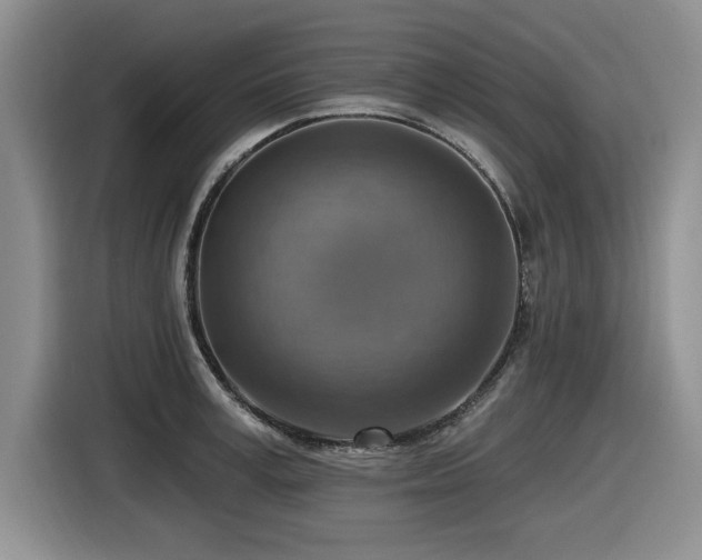 X0000116630995200912111213