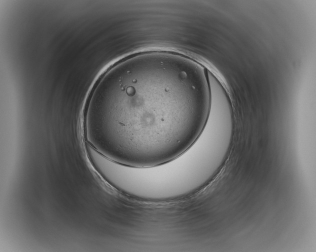 X0000116630996200912111213