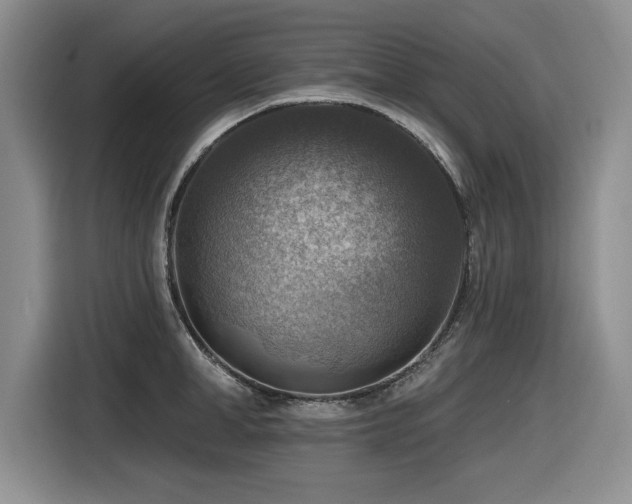 X0000116630998200912111213