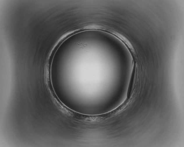 X0000116631000200912111213