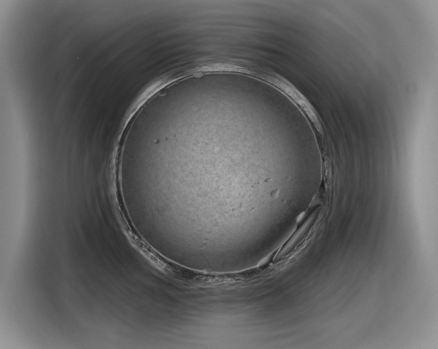 X0000116631002200912111213