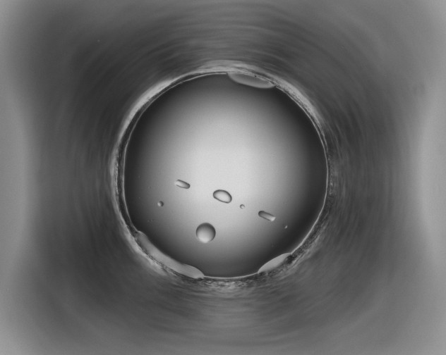 X0000116631003200912111213