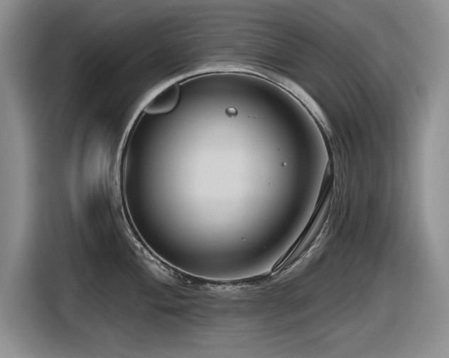 X0000116631004200912111213