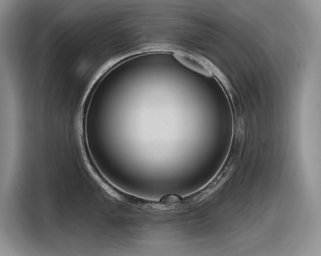 X0000116631005200912111213