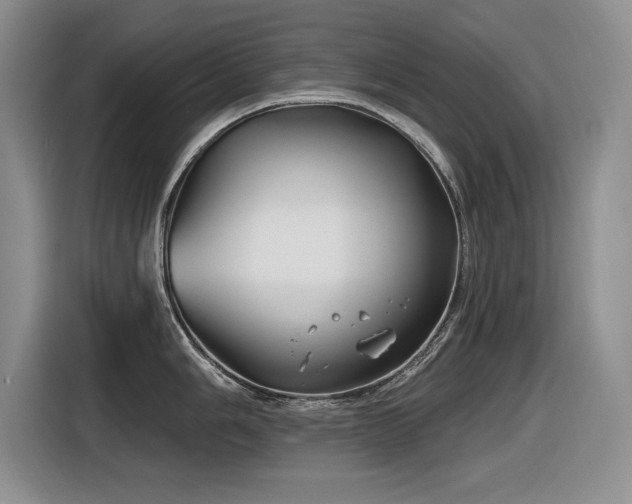 X0000116631006200912111213