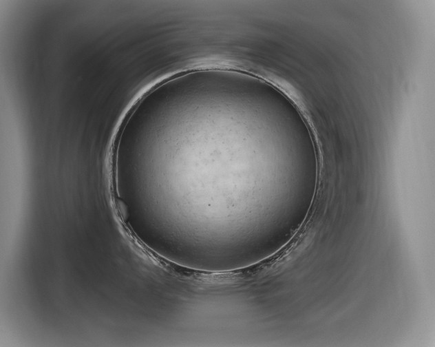 X0000116631008200912111213