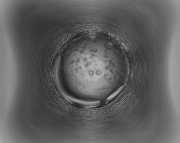 X0000116631009200912111212