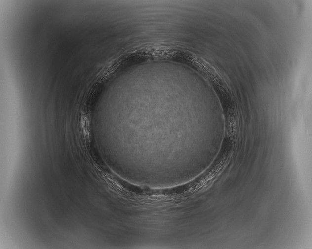 X0000116631010200912111212