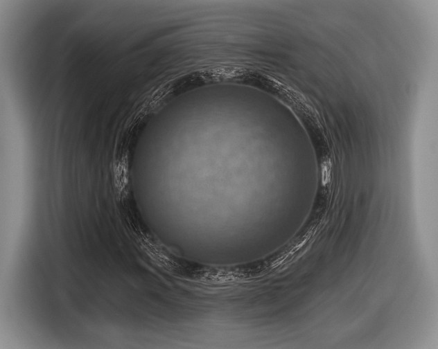 X0000116631011200912111212