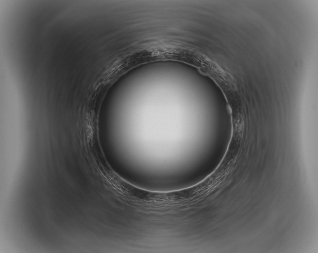 X0000116631012200912111212