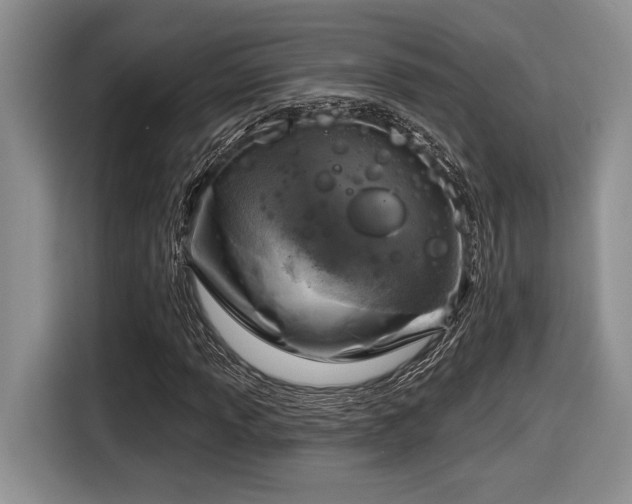 X0000116631013200912111212