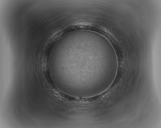 X0000116631014200912111212