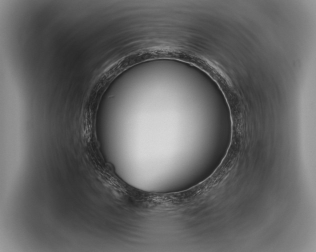 X0000116631015200912111212