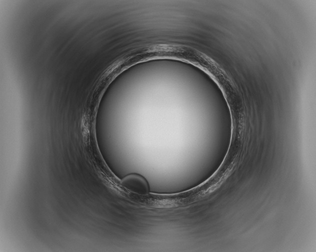 X0000116631017200912111212