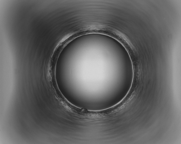 X0000116631018200912111212