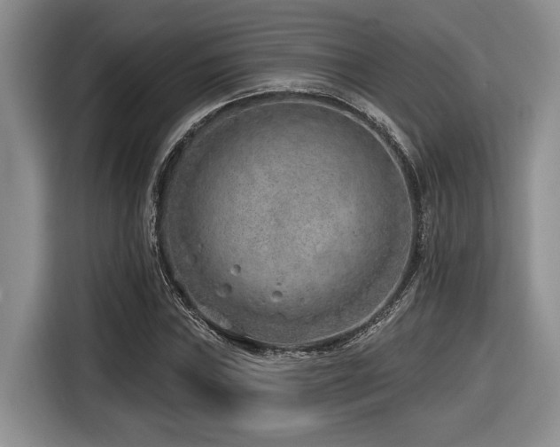 X0000116631019200912111212