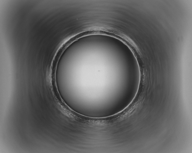 X0000116631020200912111212