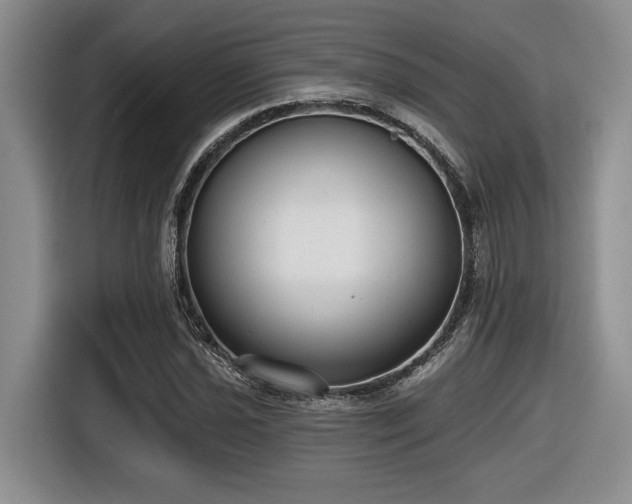 X0000116631021200912111212