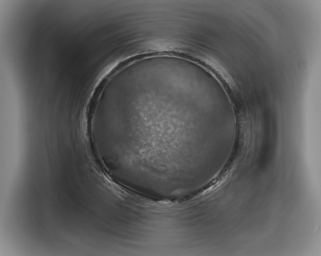 X0000116631023200912111212