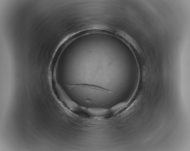 X0000116631024200912111212