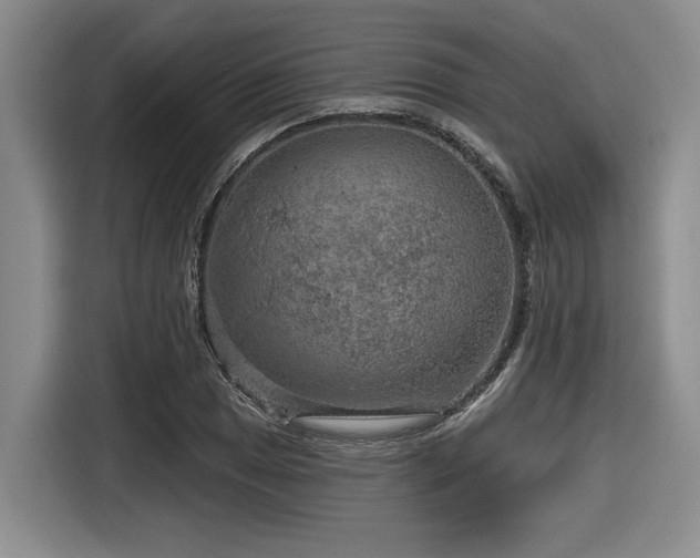 X0000116631025200912111212