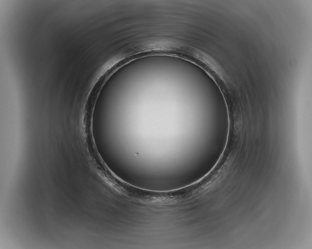 X0000116631026200912111213