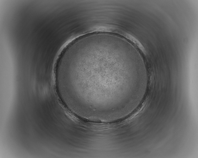 X0000116631027200912111213