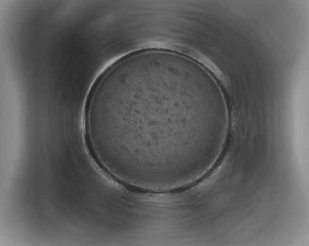 X0000116631028200912111213