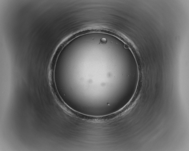 X0000116631029200912111213