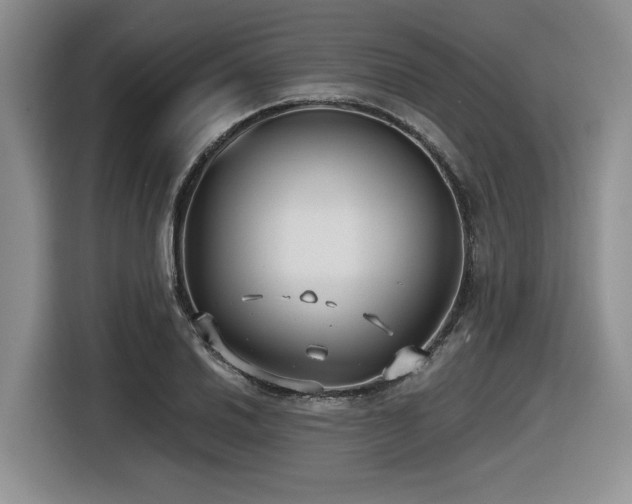 X0000116631030200912111213