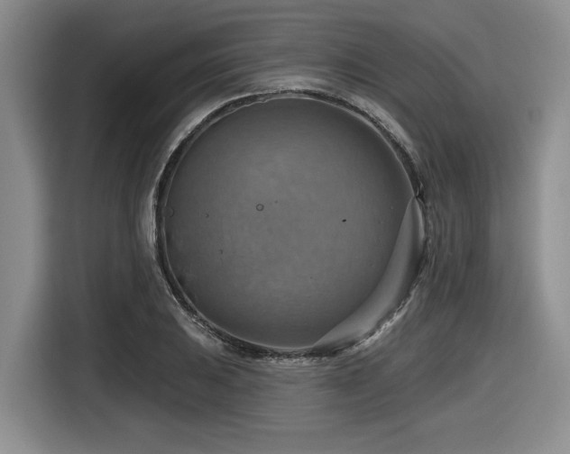 X0000116631031200912111213