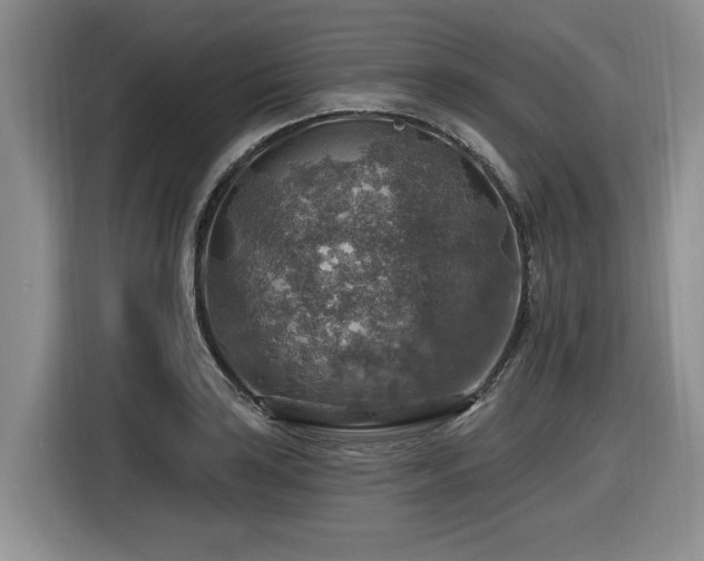 X0000116631035200912111213