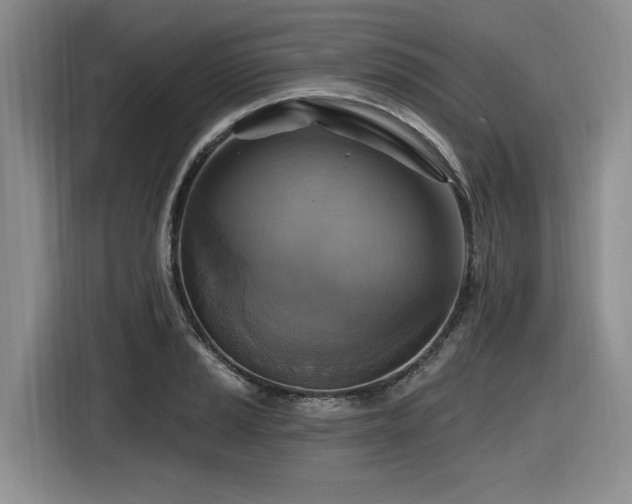 X0000116631037200912111213