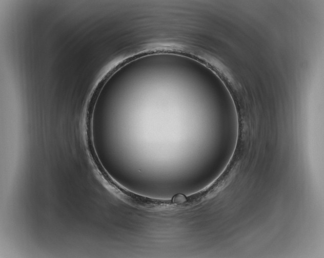 X0000116631038200912111213