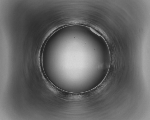 X0000116631039200912111213