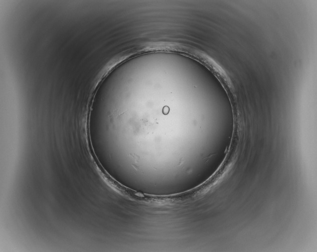 X0000116631041200912111213