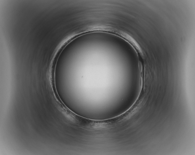 X0000116631043200912111213