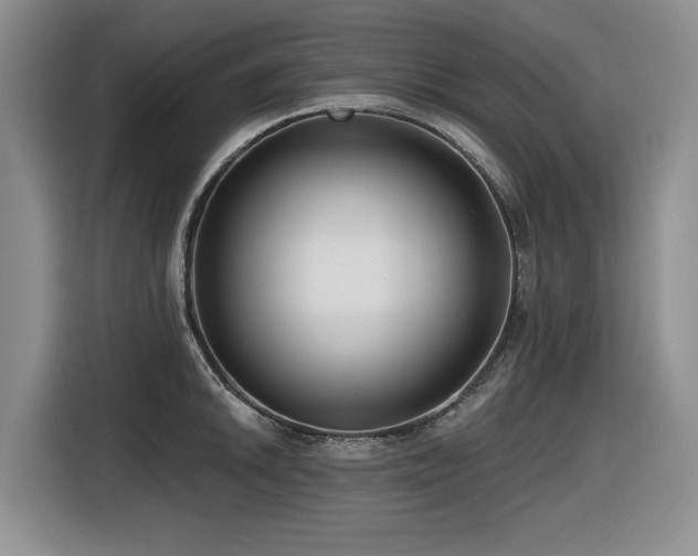 X0000116631046200912111213