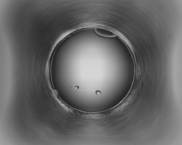 X0000116631053200912111213